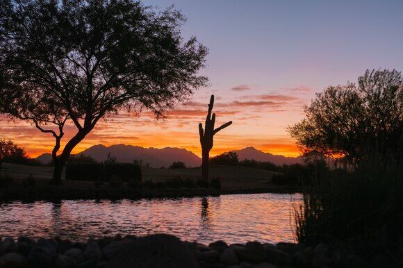 1. Perfect your pickle ball skills in Arizona.